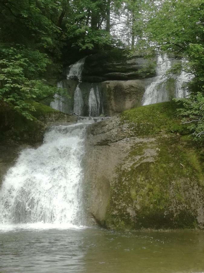 Gipfelblick Oberreute